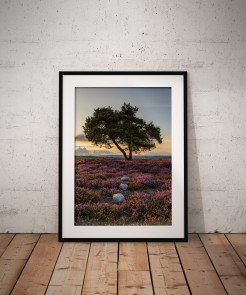 To buy a print or any of the below please click on the images